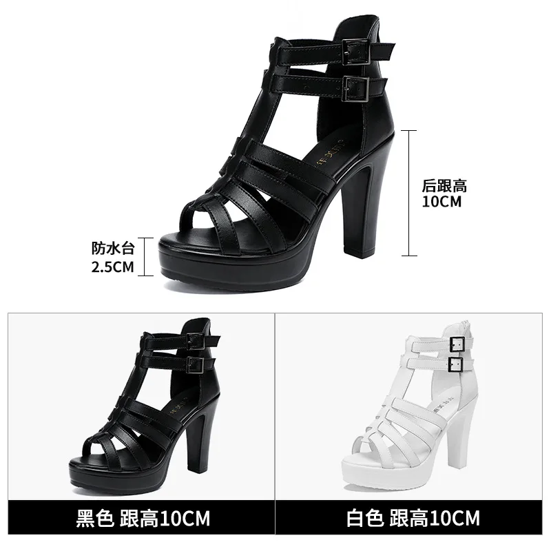 Gladiator Ladies Shoe for Wome - đánh giá và giá Women'S Shoes Quality